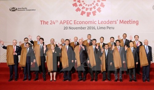 APEC 2017 khẳng định vị thế Việt Nam - ảnh 1